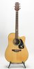Takamine G Series (SKU: 31637) 31637
