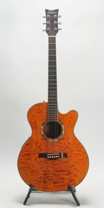 Schecter SW-3500/AM