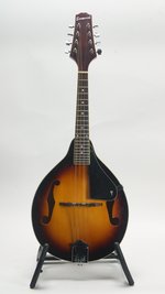 Savannah SA-100 (SKU: 31917) 31917