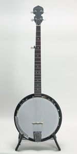 Gold Tone CC-BG Cripple Creek Blue Grass Package