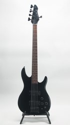 Peavey Dyna Bass 5 String (As Is) (SKU: 31999) 31999