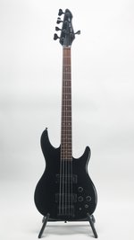 Peavey Dyna Bass 5 String (As Is) (SKU: 31999) 31999