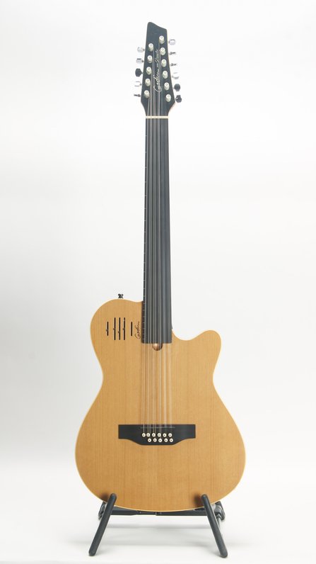 Godin A11 Glissentar (2005) #1
