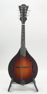 Eastman MD 605 (used, ca. 2009)