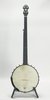 Gold Tone WL-250 Fretless (SKU: 32441) 32441