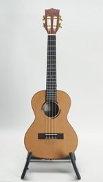 Kala KA-ASCP-T *USED* (SKU: 32464) 32464