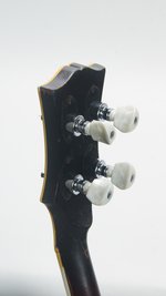 Gibson TB-250 (8216-52) (ca. 1955) (SKU: 31233) 31233