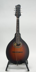 Eastman MD304E-SB