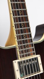 Washburn Falcon Model C (1982) (SKU: 28614) 28614