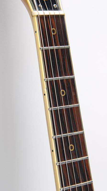 Washburn Falcon Model C (1982) #7