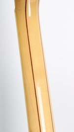 Washburn Falcon Model C (1982) (SKU: 28614) 28614