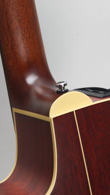 Takamine EAN60C (2000) #5