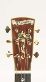 Blueridge BR-280 (used) (SKU: 32507) 32507