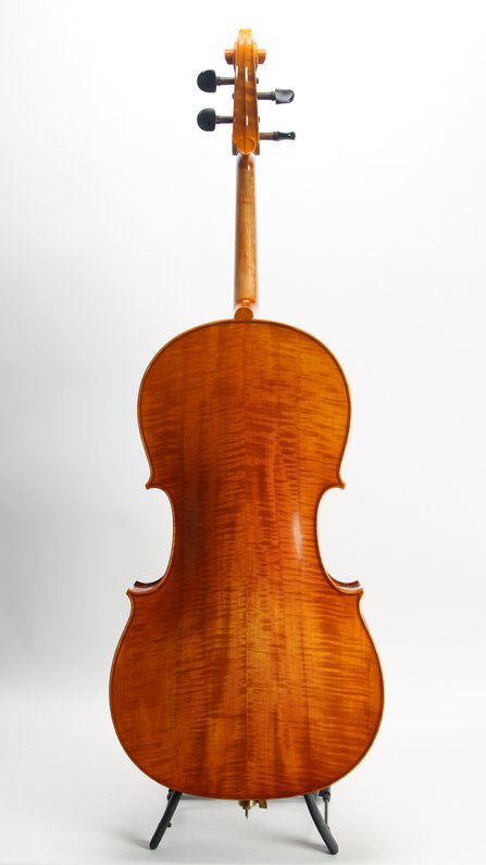 Eastman Otto Benjamin MC100 Cello *Used #2