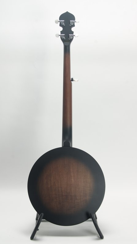 Gold Tone CC-BG Cripple Creek Blue Grass Package #2