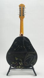 Johnson Resonator Mandolin (SKU: 32770) 32770