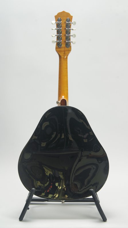 Johnson Resonator Mandolin #2