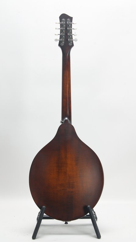 Eastman MDO305 #2