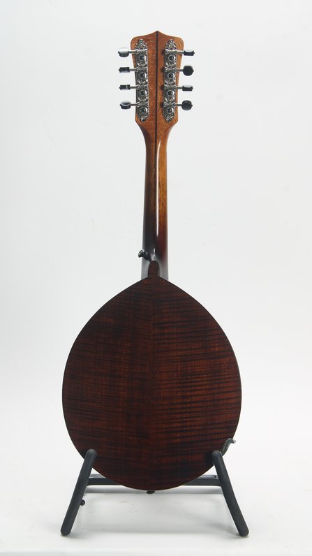 Sawchyn Hobo Mandolin #2