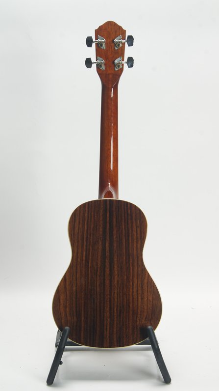 Washburn OU-4 #2