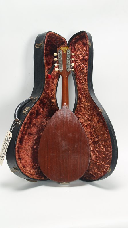 Weymann Style 25 Mandolute #3