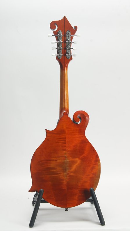 Eastman MD515/V-AMB #2