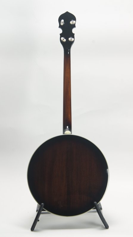Gold Tone Custom Tenor Resonator (2021) #2