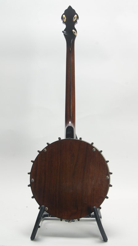 Washburn Style 445 #2