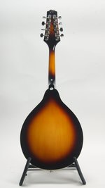 Savannah SA-100 (SKU: 31917) 31917