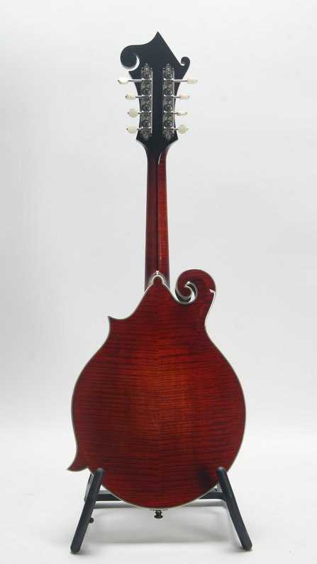 Eastman MD815 (used, 2025) #2