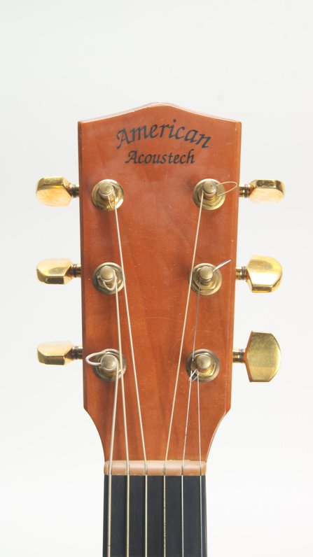 American Acoustech ESVL-1W #5