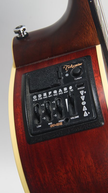 Takamine EAN60C (2000) #8