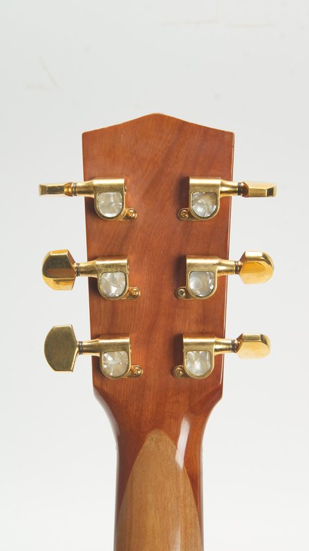 American Acoustech ESVL-1W #6