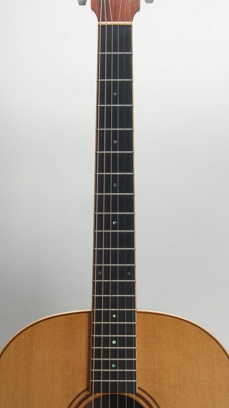 Thompson T1 Deluxe (1998) #6