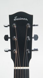 Eastman ACTG1 (SKU: 27895) 27895