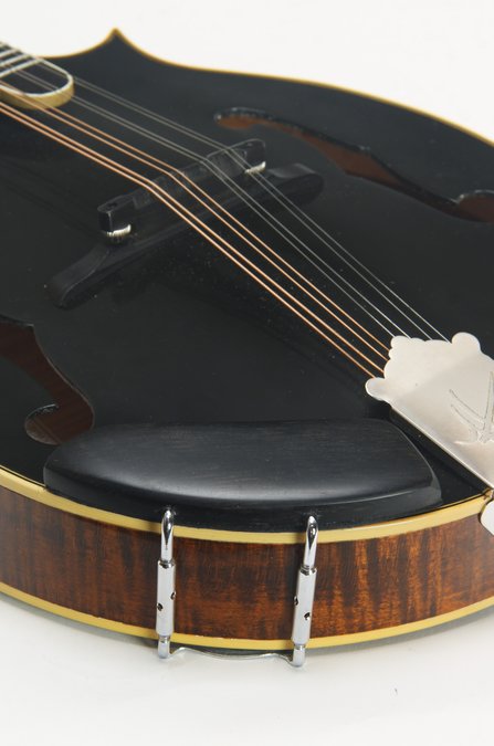 Tom Hicks F-5 (2012) #9