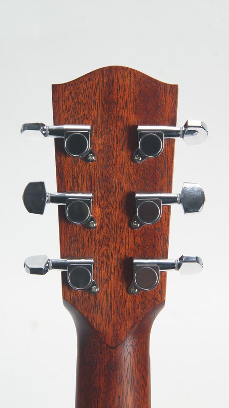 Eastman ACTG1 #5