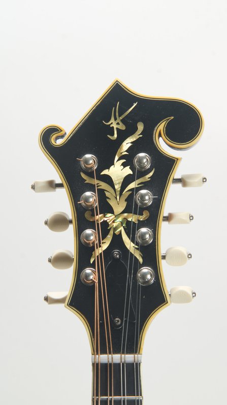 Tom Hicks F-5 (2012) #10