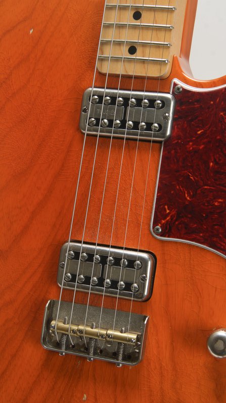 LSL La Perronita Carmel Corn Tele #8