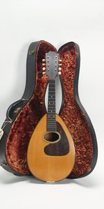 Weymann Style 25 Mandolute