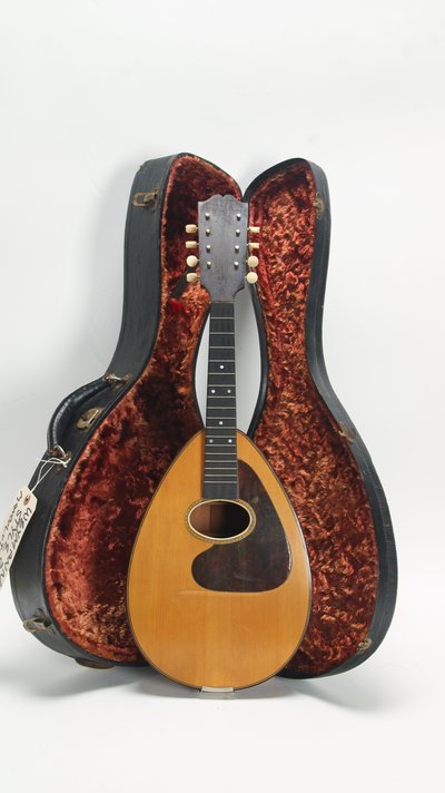 Weymann Style 25 Mandolute