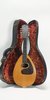 Weymann Style 25 Mandolute As-Is (SKU: 30935) 30935