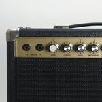 Nau 1x10" Combo Amp (SKU: 31495) 31495