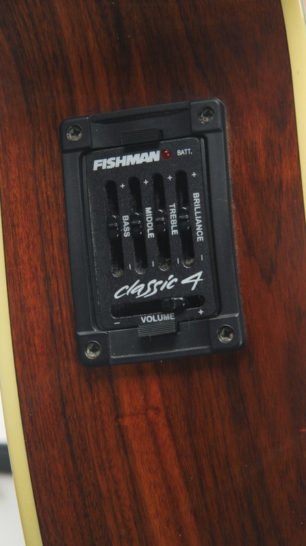 Schecter SW-3500/AM #3