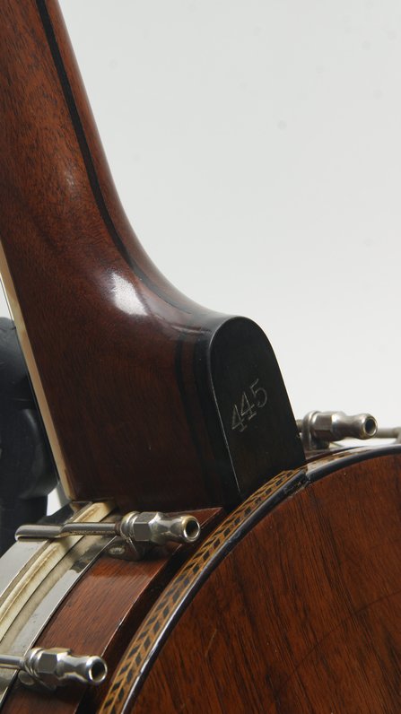 Washburn Style 445 #3