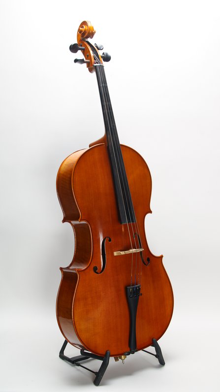 Eastman Otto Benjamin MC100 Cello *Used #3