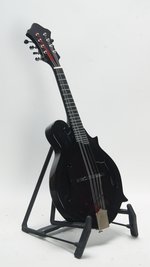 New Millennium Circle Strings Carbon Fiber Kevlar F Style Mandolin (2019) (SKU: 31043) 31043