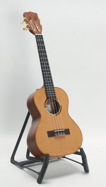 Kala KA-ASCP-T *USED* (SKU: 32464) 32464