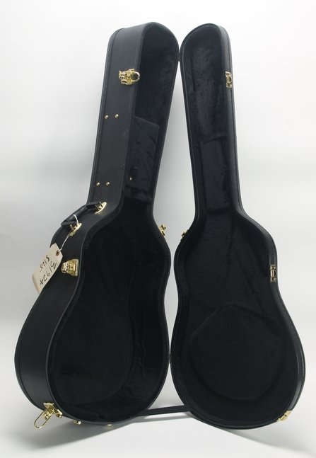 Hardshell Case For Dreadnaught Guitar #2