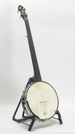 Gold Tone WL-250 Fretless (SKU: 32441) 32441